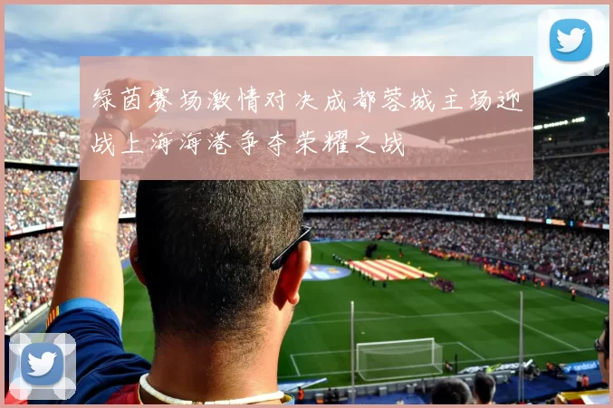 绿茵赛场激情对决成都蓉城主场迎战上海海港争夺荣耀之战